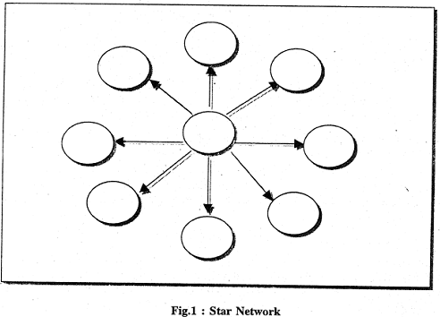 90_star network.png